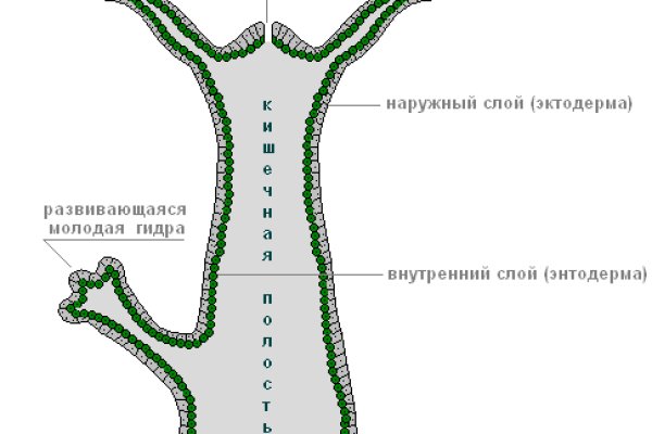 Оригинальная ссылка на кракен